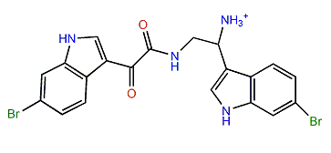 3,4-seco-Hamacanthin B